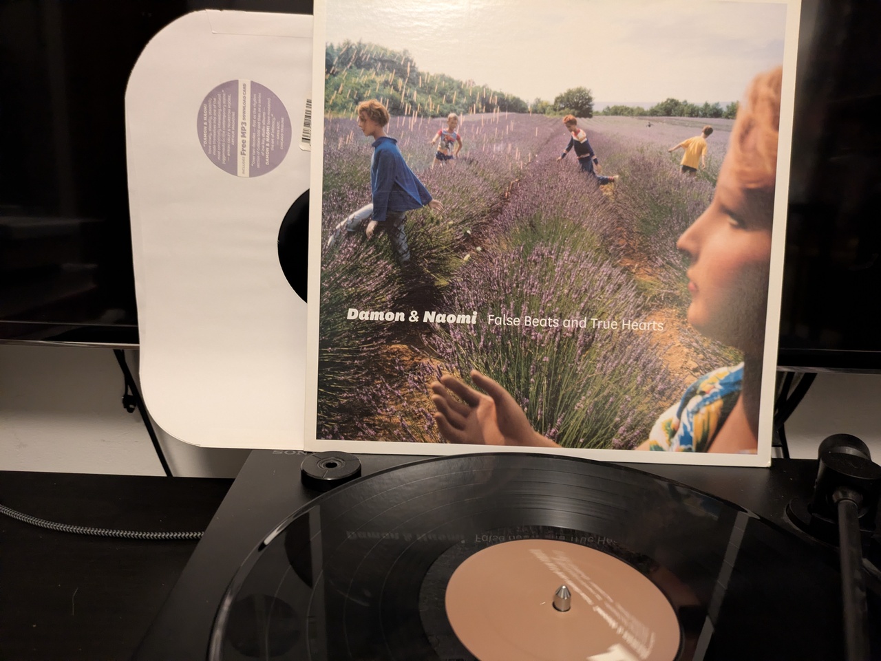 Damon & Naomi - False Beats and True Hearts (LP)