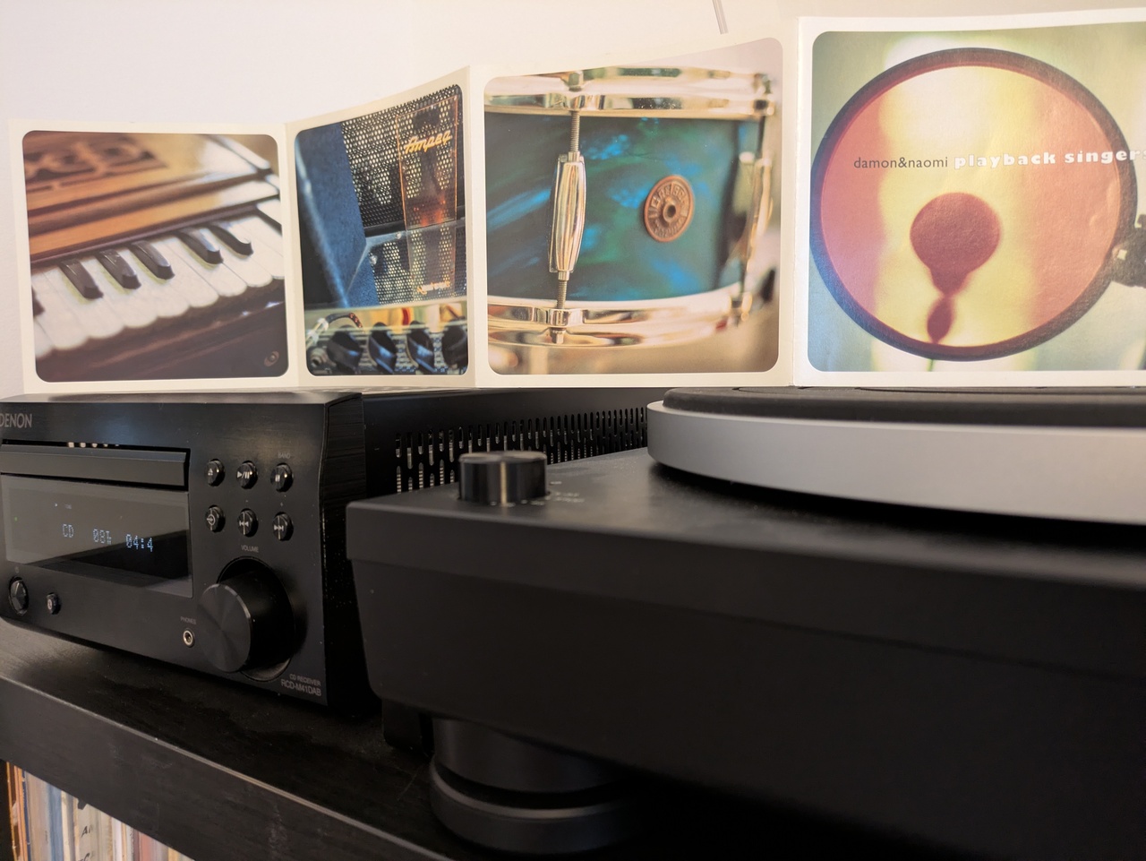 Damon & Naomi - Playback Singers