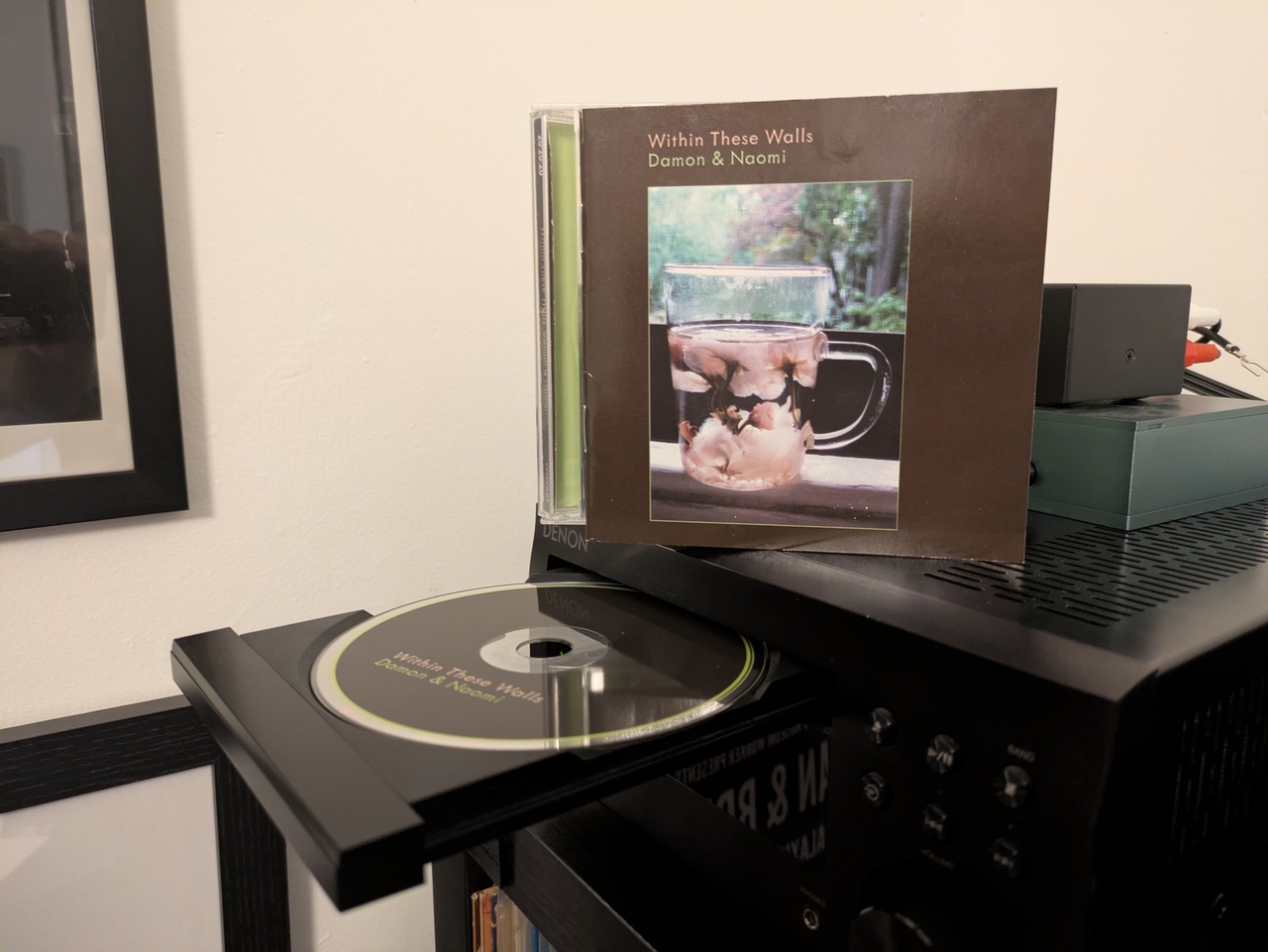 Damon & Naomi - Within These Walls (CD)