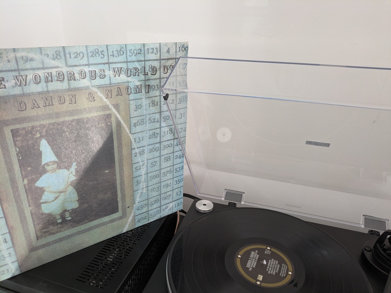 The Wondrous World of Damon & Naomi (LP)