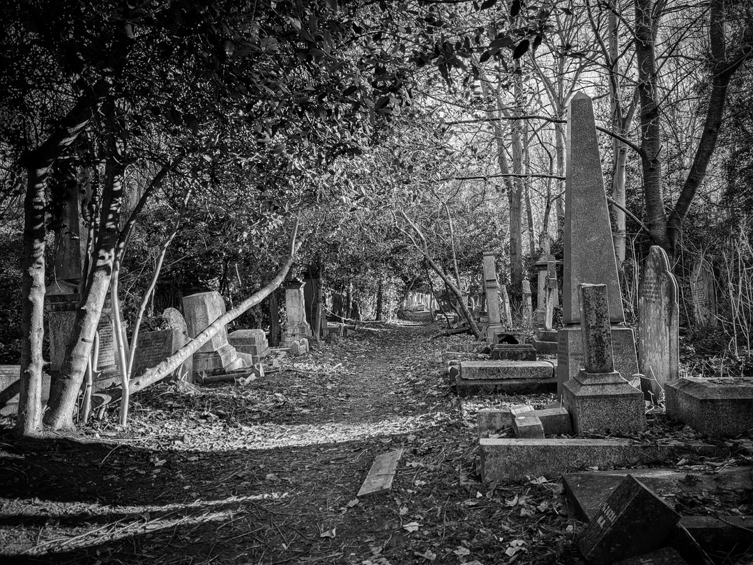 Abney Park Cemetery - 4th January 2026